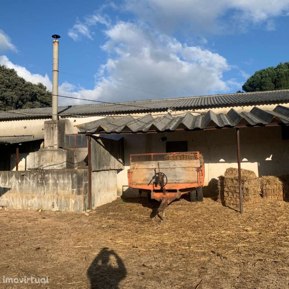 Propriedade 5 ha | Solo Urbano + 823 m² Construídos - Grande imagem: 4/10