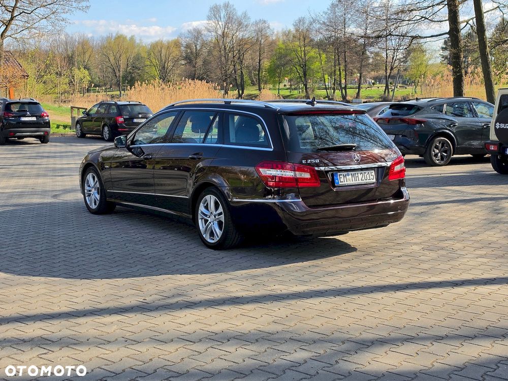 Mercedes-Benz Klasa E 250 CDI DPF BlueEFFICIENCY Avantgarde - 9