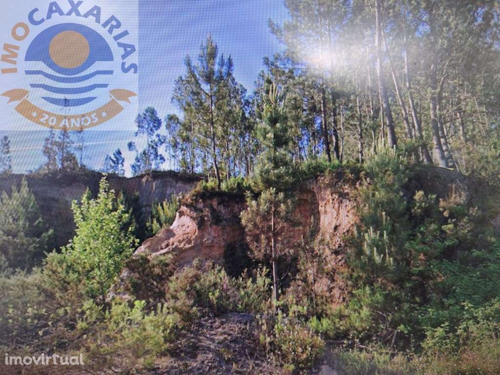 Terreno com projeto aprovado de duas moradias geminadas - Grande imagem: 3/16