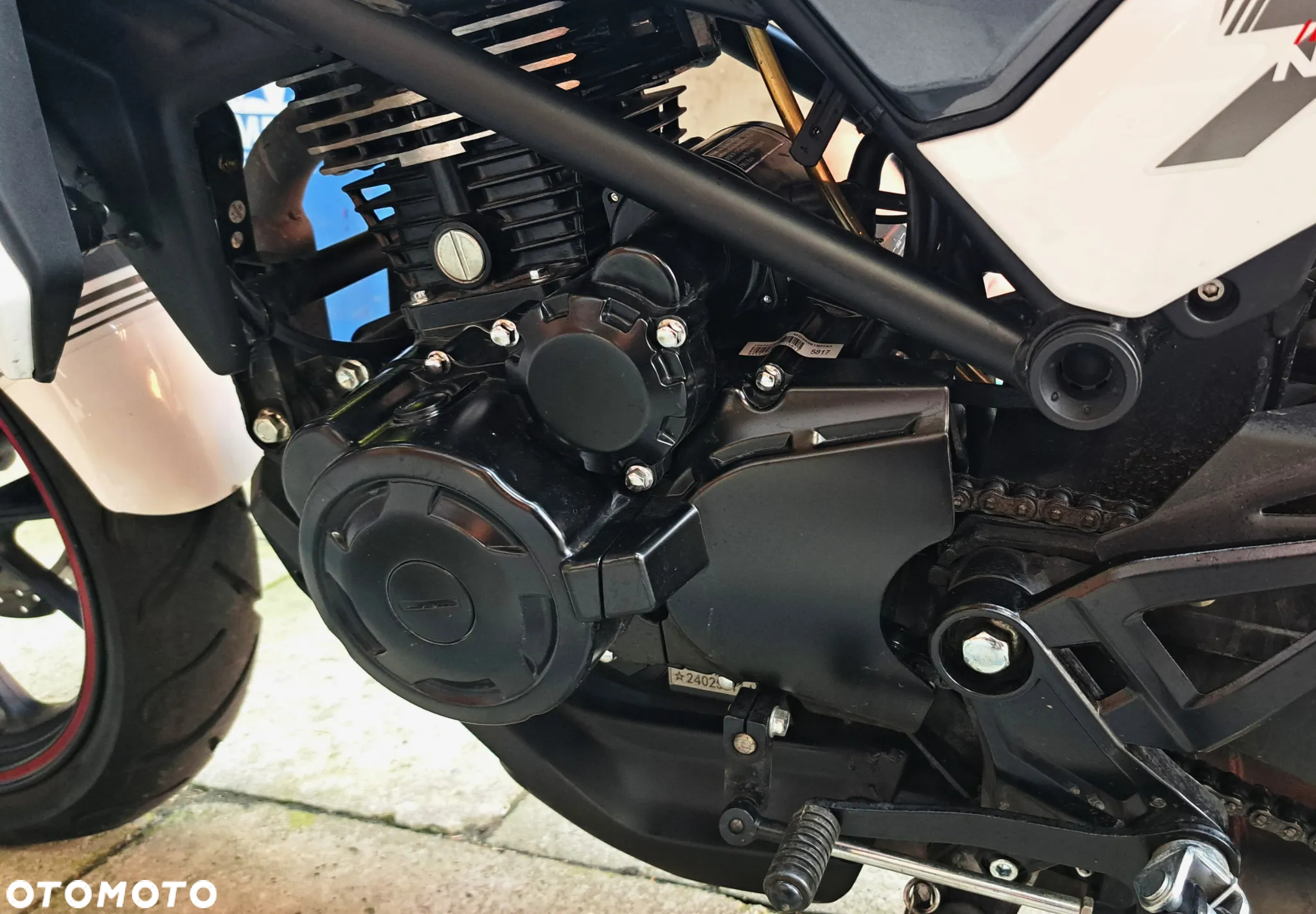 Barton Naked - 29
