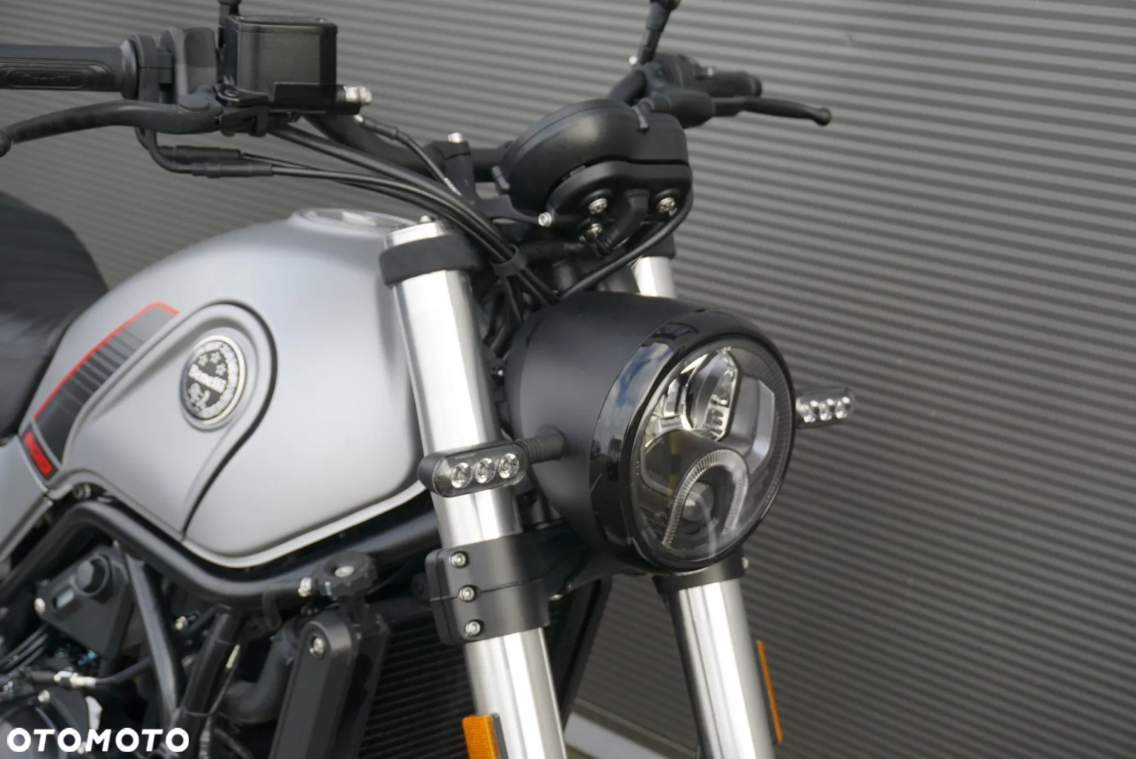 Benelli Leoncino - 9