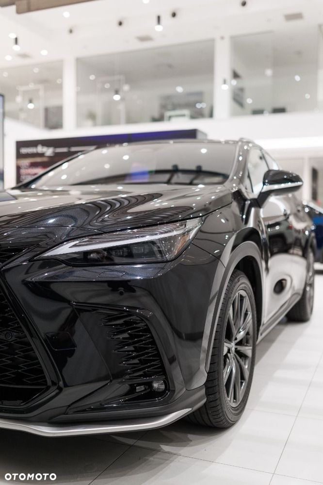 Lexus NX - 13