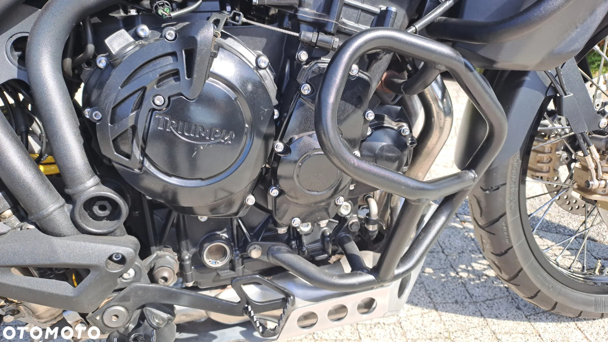 Triumph Tiger - 18