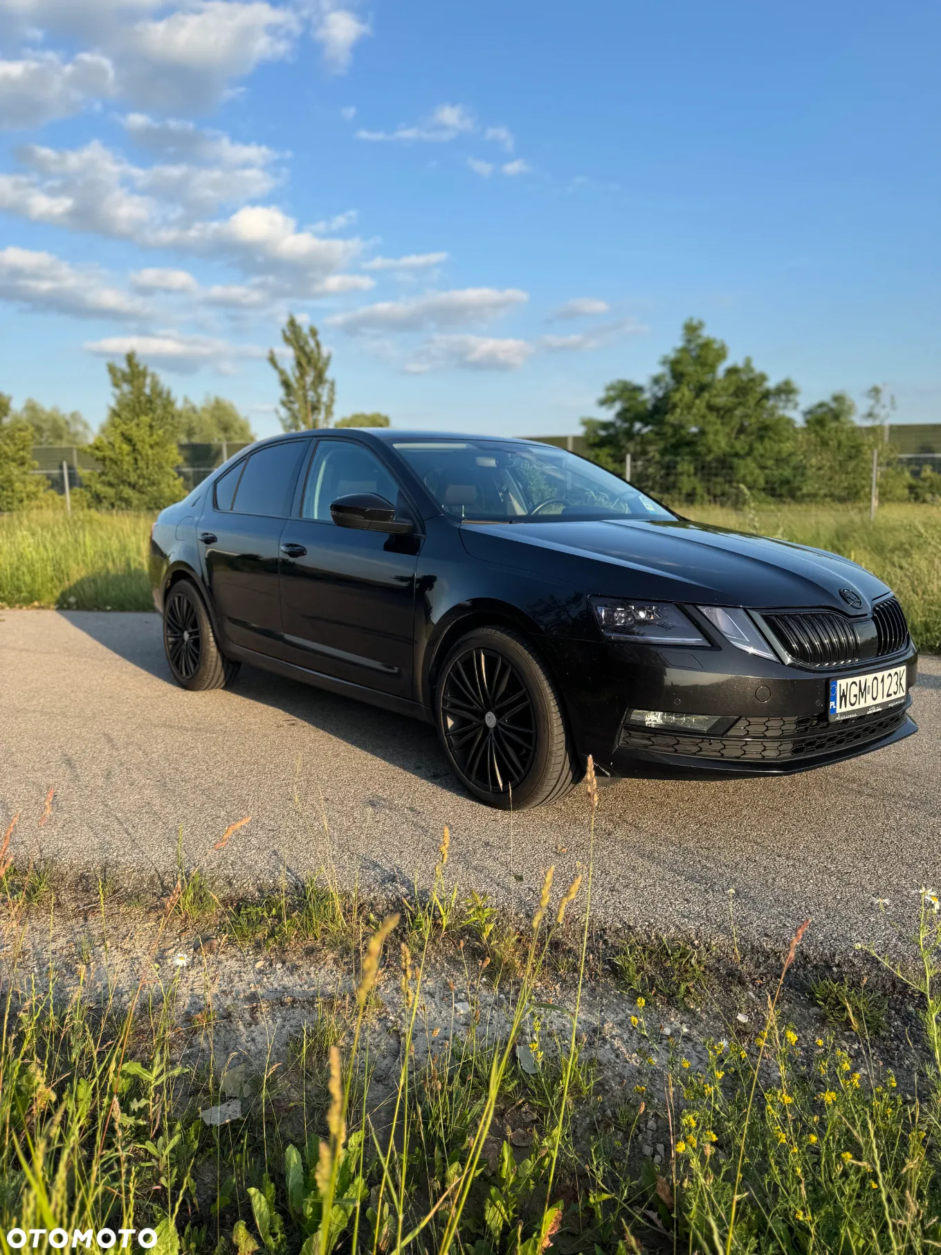 Skoda Octavia 1.5 TSI ACT Ambition DSG - 7