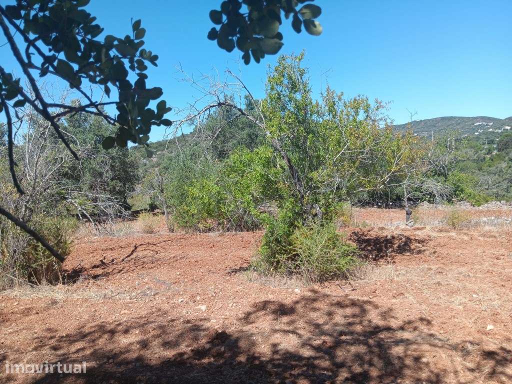Terreno com ruína, vista mar, Santa Bárbara de Nexe, Faro, Algarve - Grande imagem: 4/29