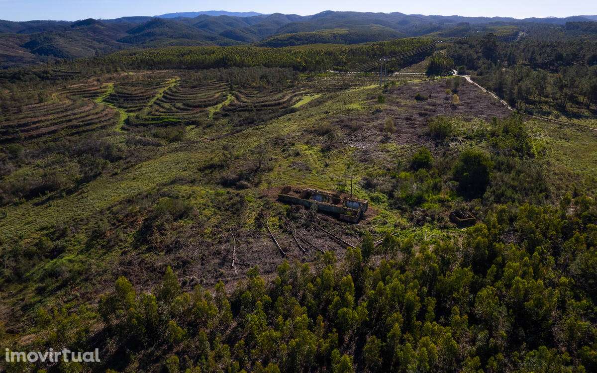 Quintinha com grande ruína para recuperar - Grande imagem: 4/18