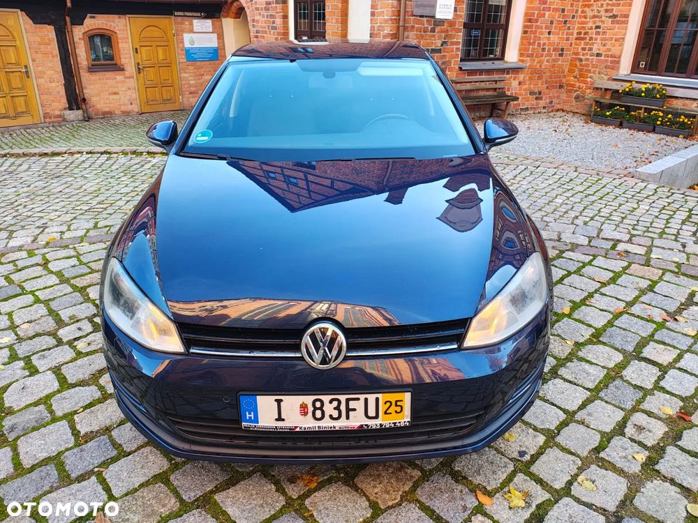 Volkswagen Golf - 28