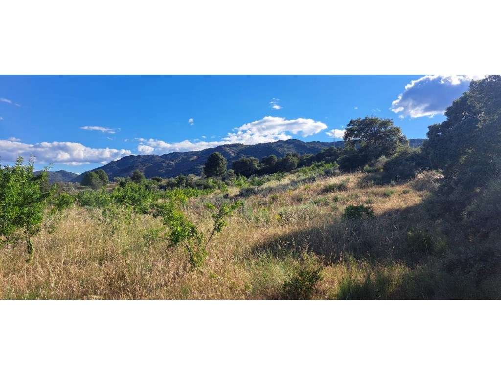 Terreno de 5 Ha, em Cabanas Cima, Torre de Moncorvo. - Grande imagem: 4/19