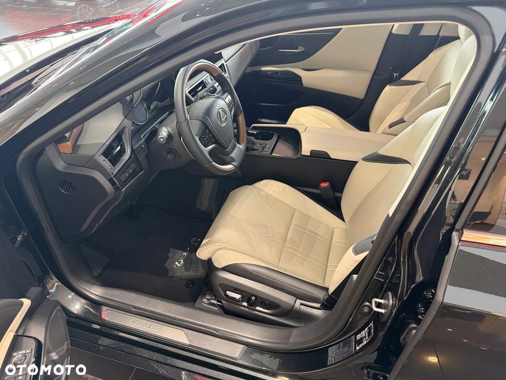 Lexus ES 300h Omotenashi - 11