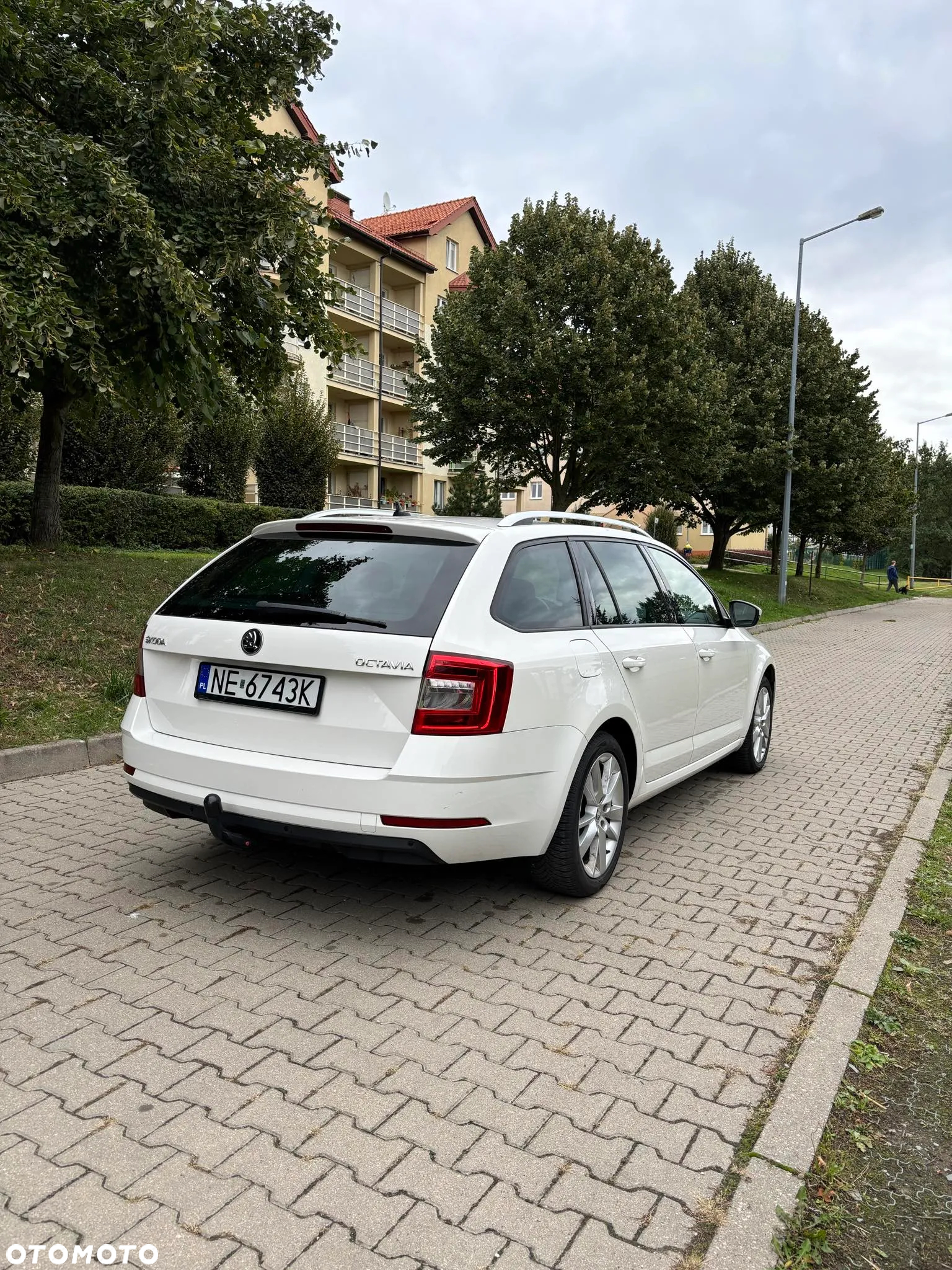 Skoda Octavia 1.5 TSI ACT Ambition DSG - 7