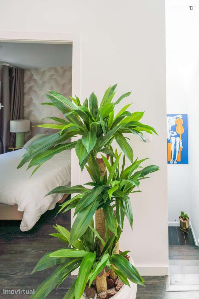 Apartamento com 1 quartos - localizado em Lapa Lisbon - Grande imagem: 4/32