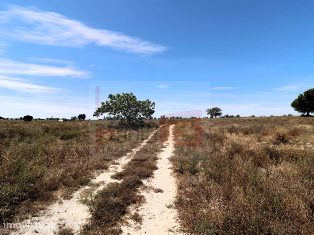 TERRENO COM 18150M2 FOROS DO CARRAPATAL - CANHA - MONTIJO - Grande imagem: 3/12