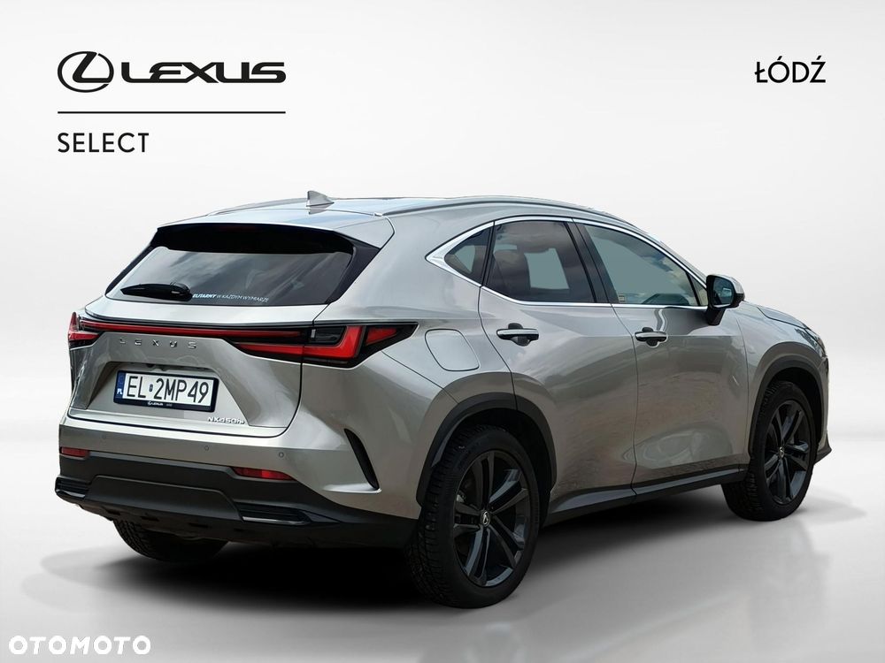 Lexus NX - 6