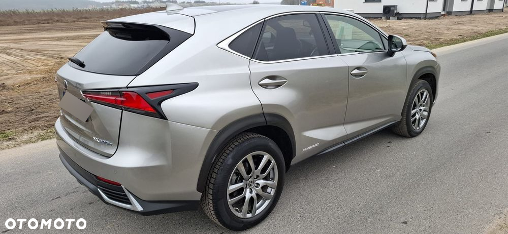 Lexus NX 300h - 4