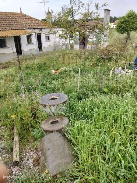 Arrendamento casa - Grande imagem: 3/7