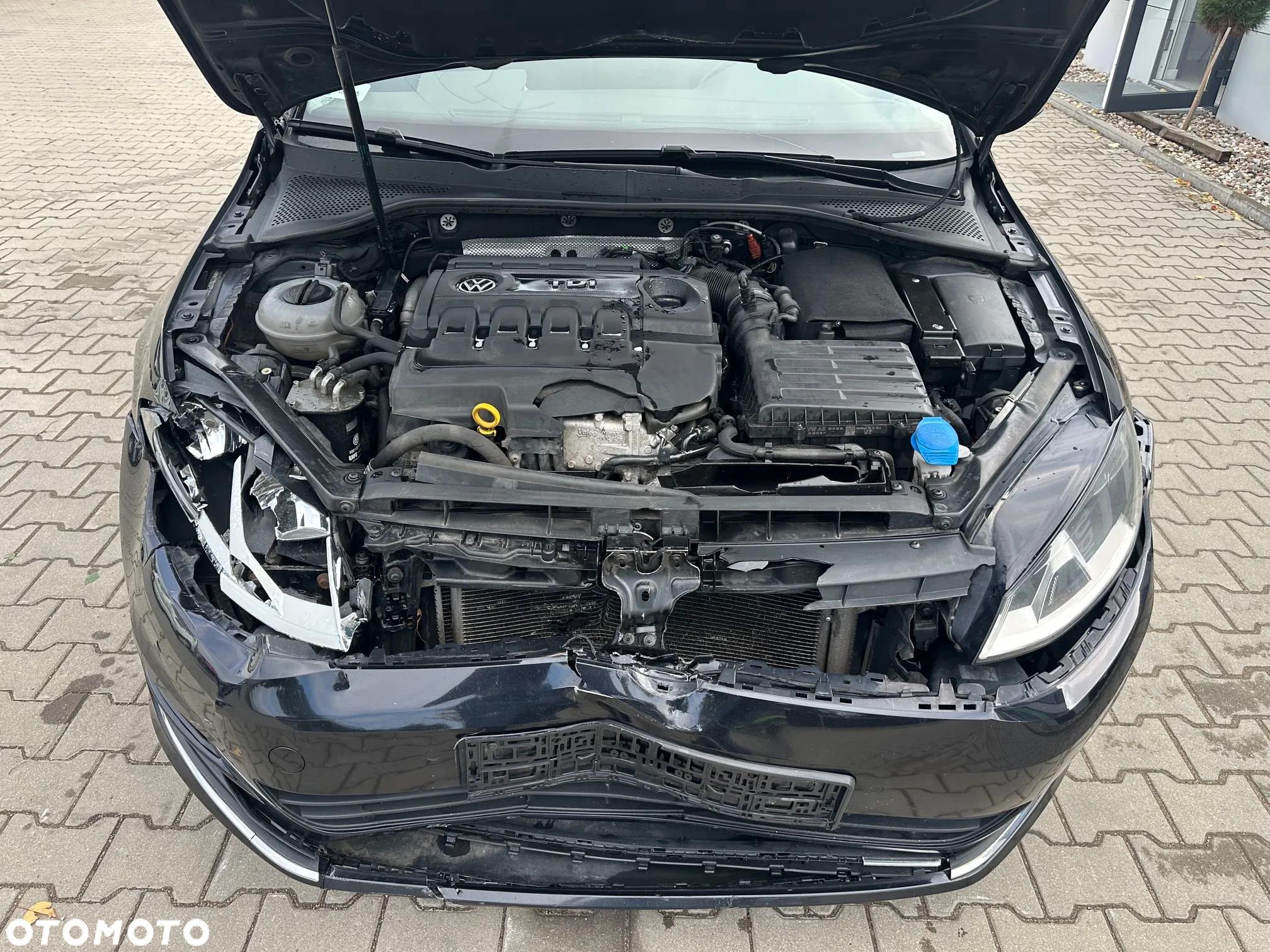 Volkswagen Golf - 18