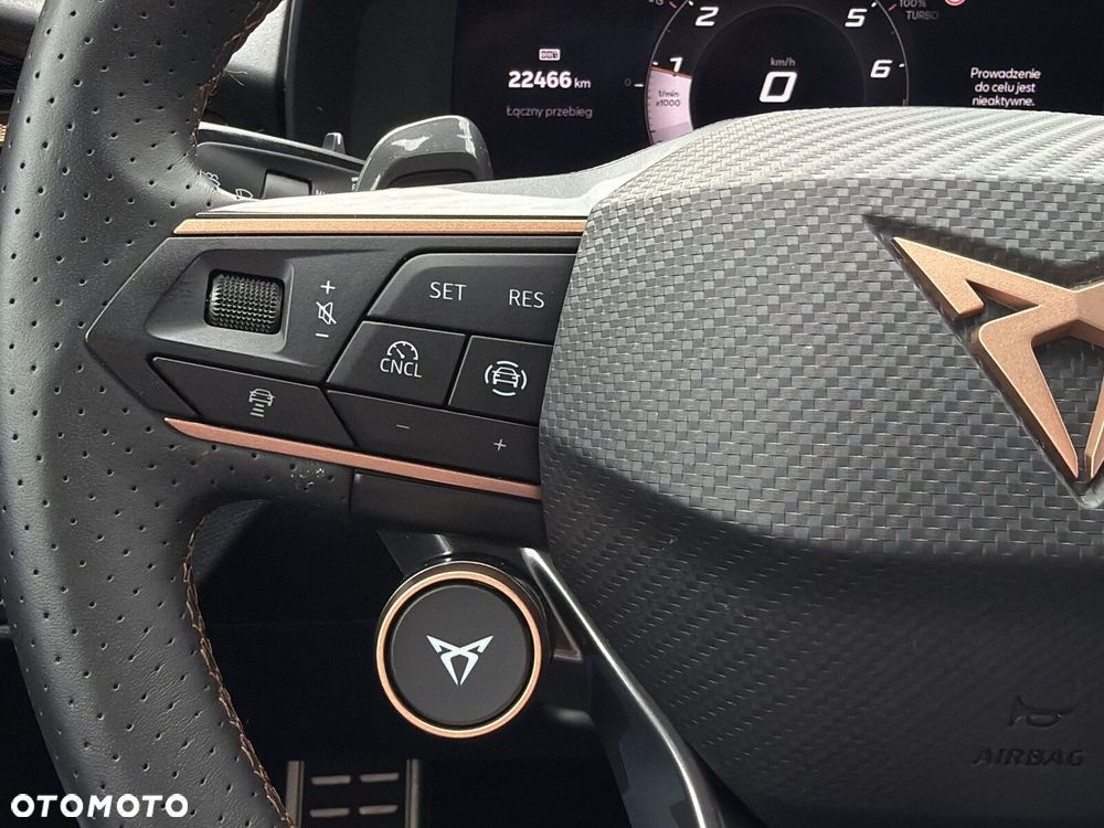 Cupra Terramar - 18