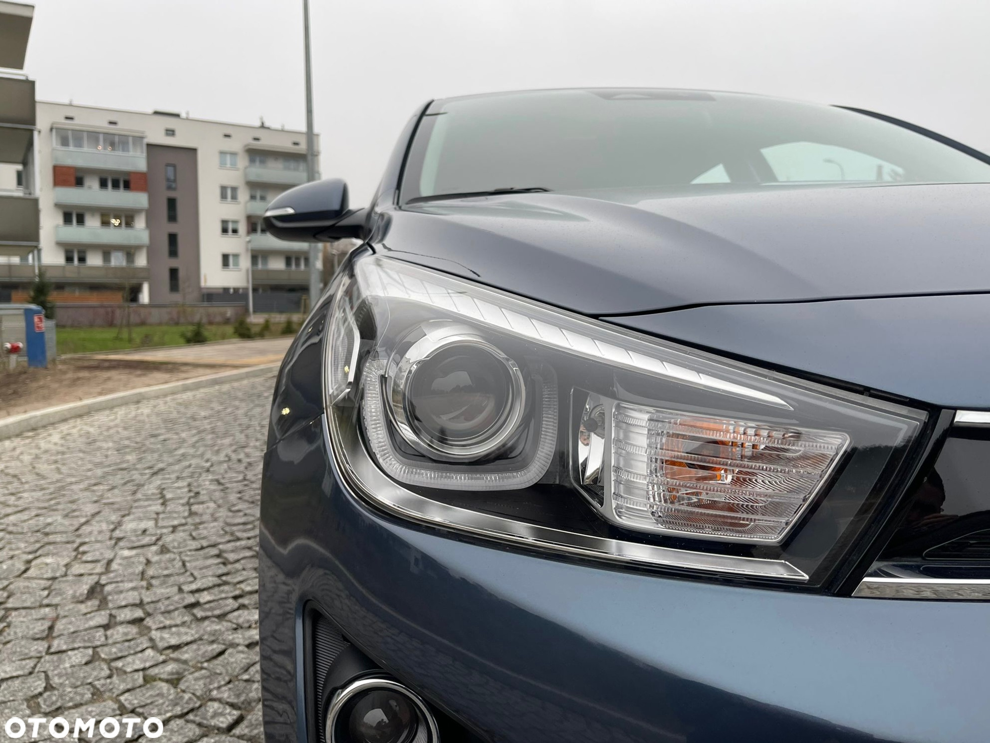 Kia Rio - 31