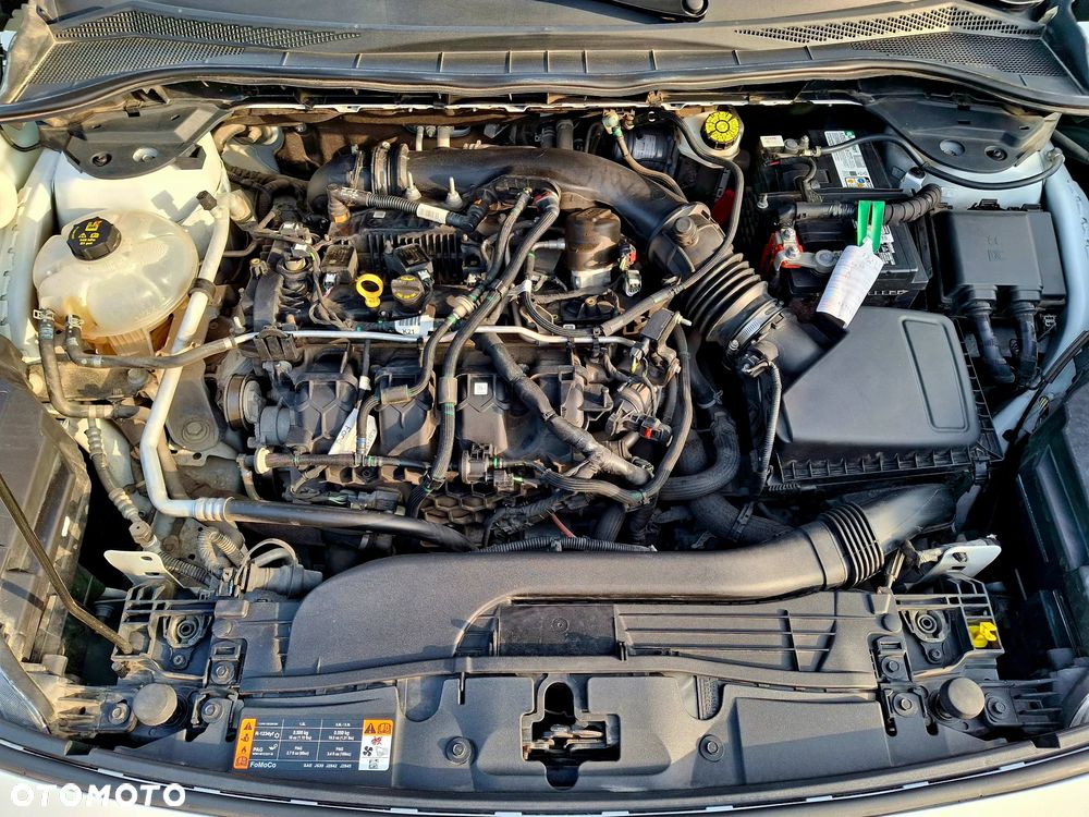 Ford Kuga 2.0 EcoBoost AWD Titanium ASS - 20