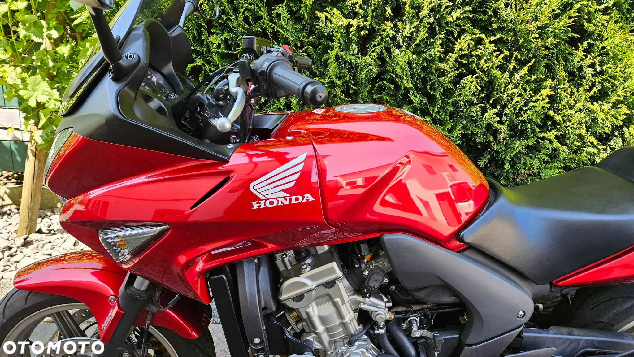 Honda CBF - 13