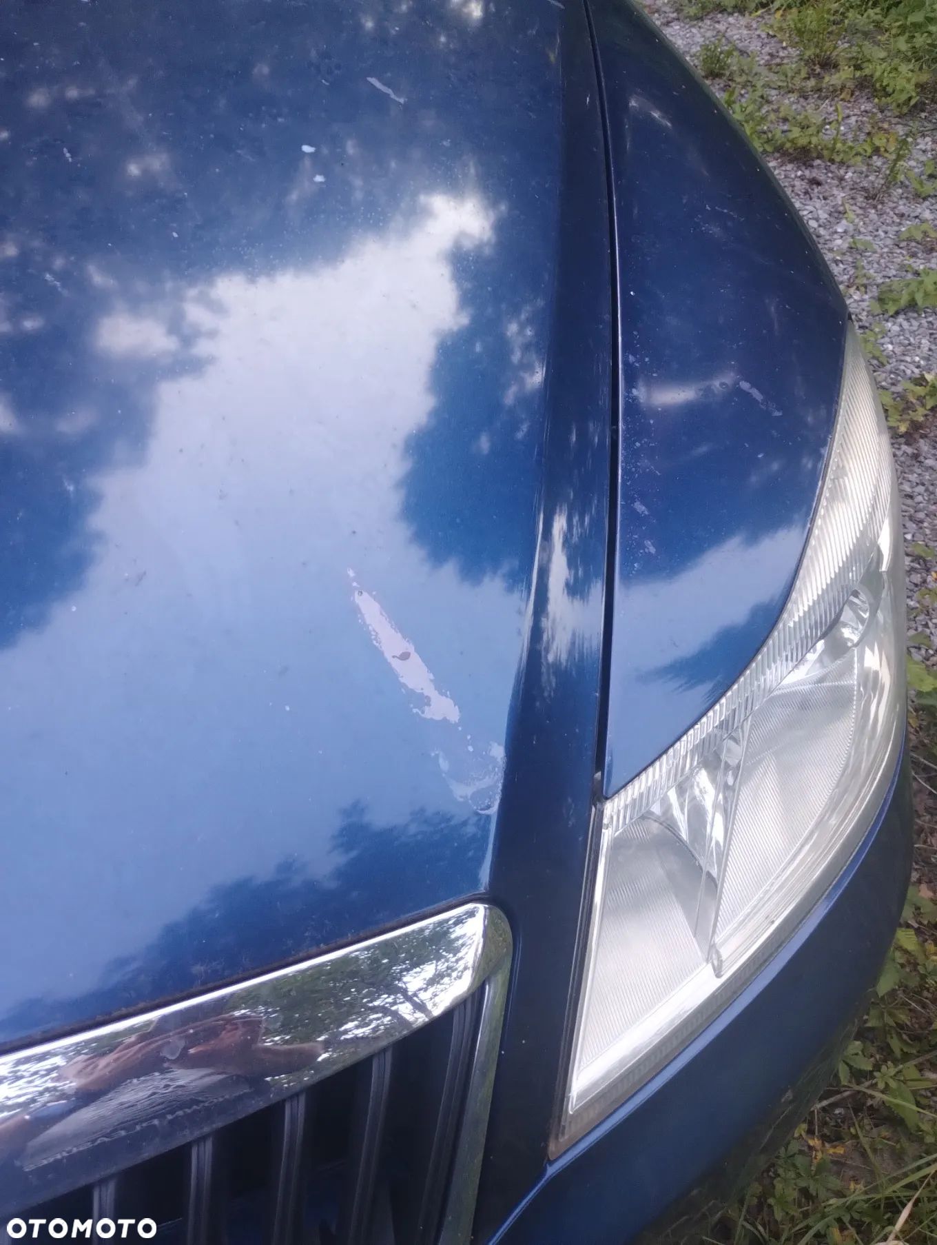 Skoda Octavia 1.6 TDI 4x4 Ambition - 1