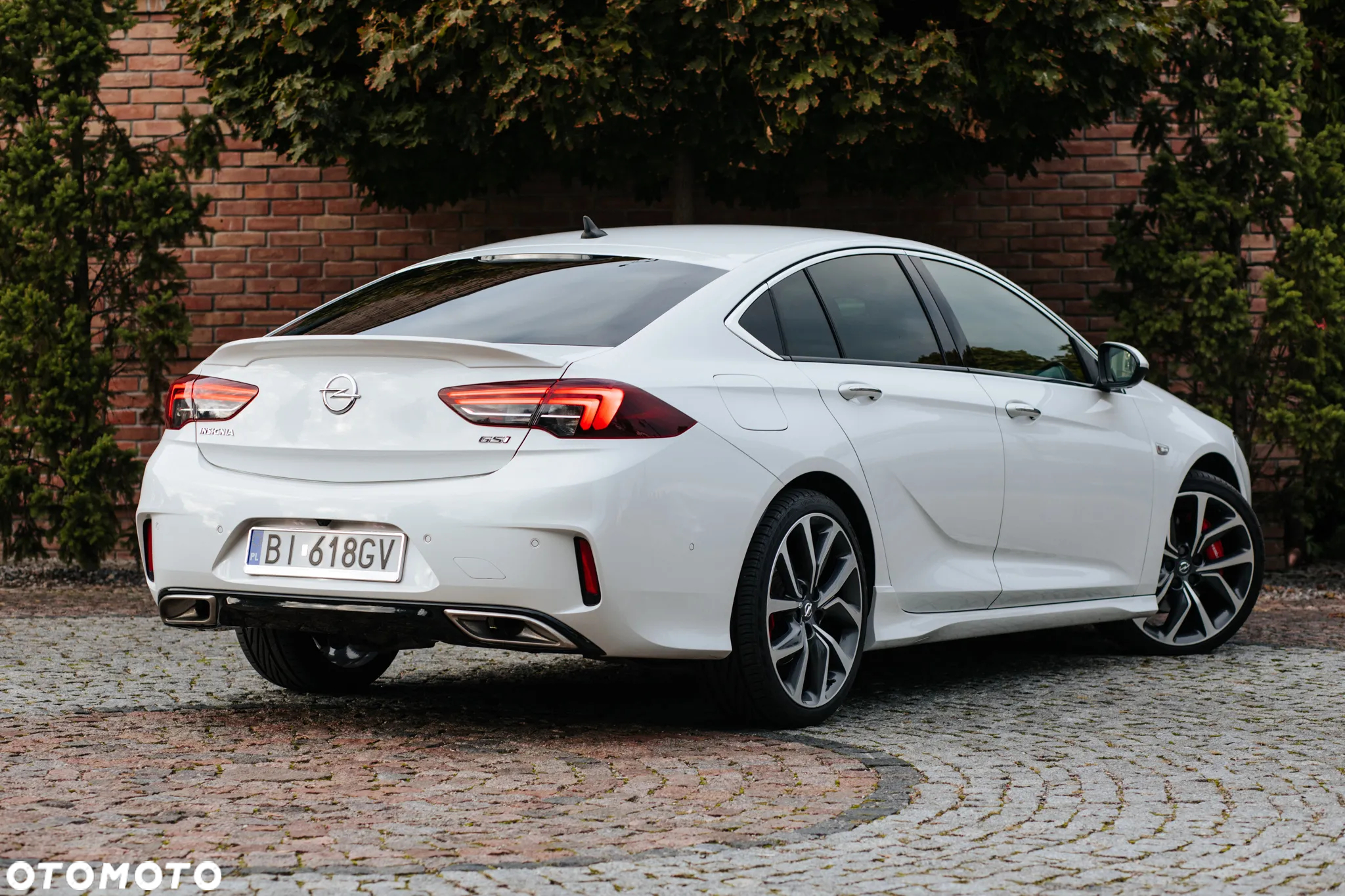 Opel Insignia 2.0 CDTI 4x4 GSi S&S - 10