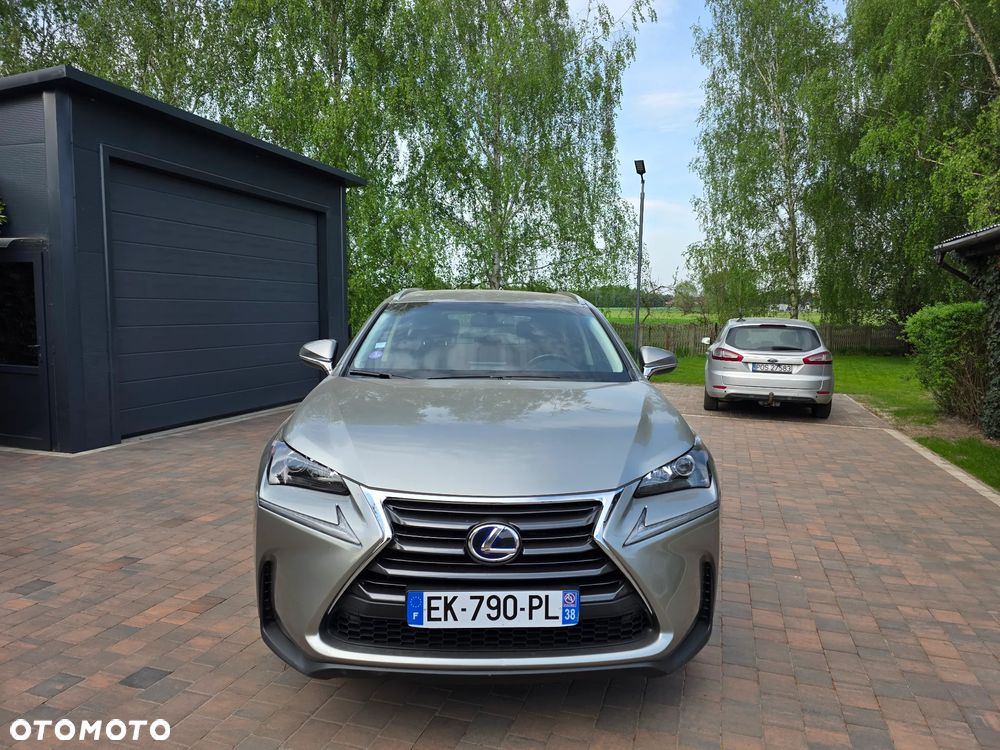 Lexus NX 300h - 3