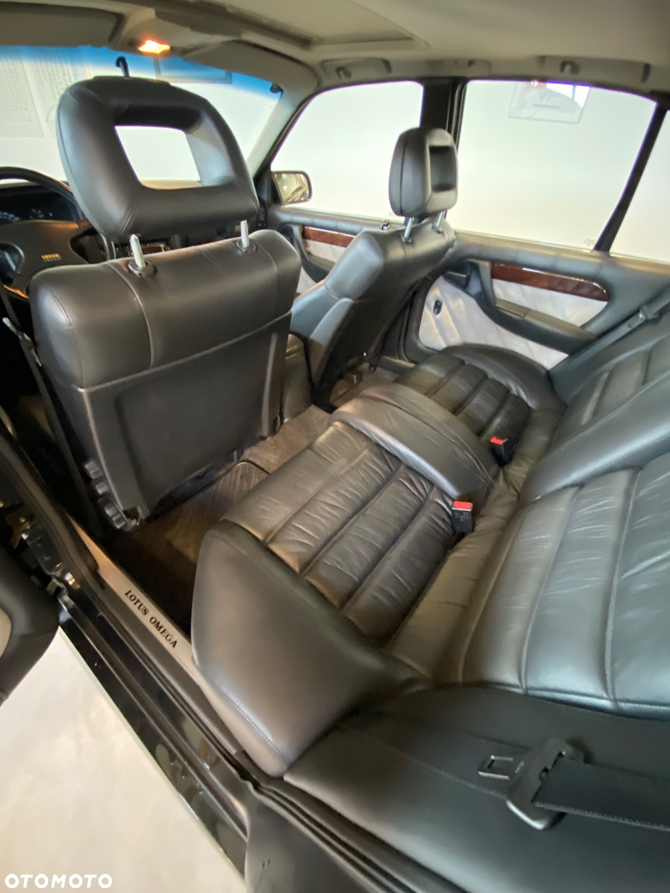 Lotus Inny - 16