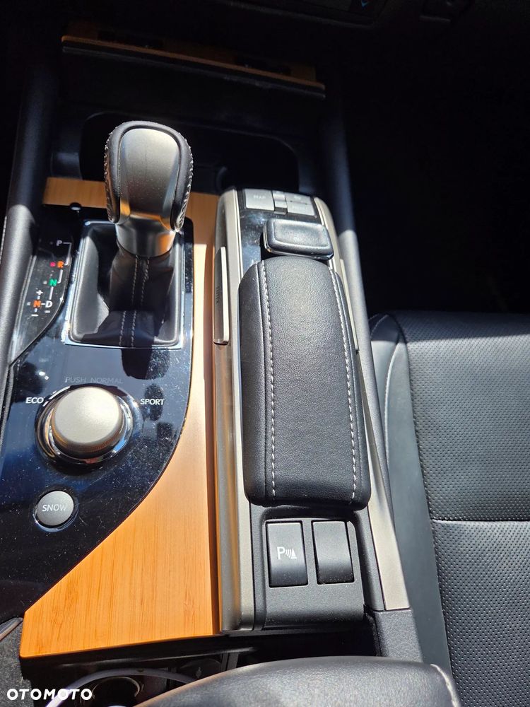 Lexus GS 200t / 300 Elegance - 11