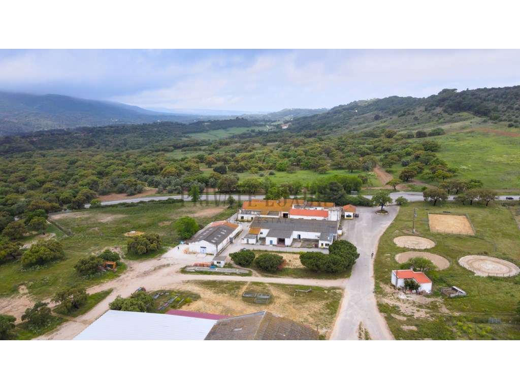 Herdade com 271 hectares na Serra da Arrábida - Setubal - Grande imagem: 2/60