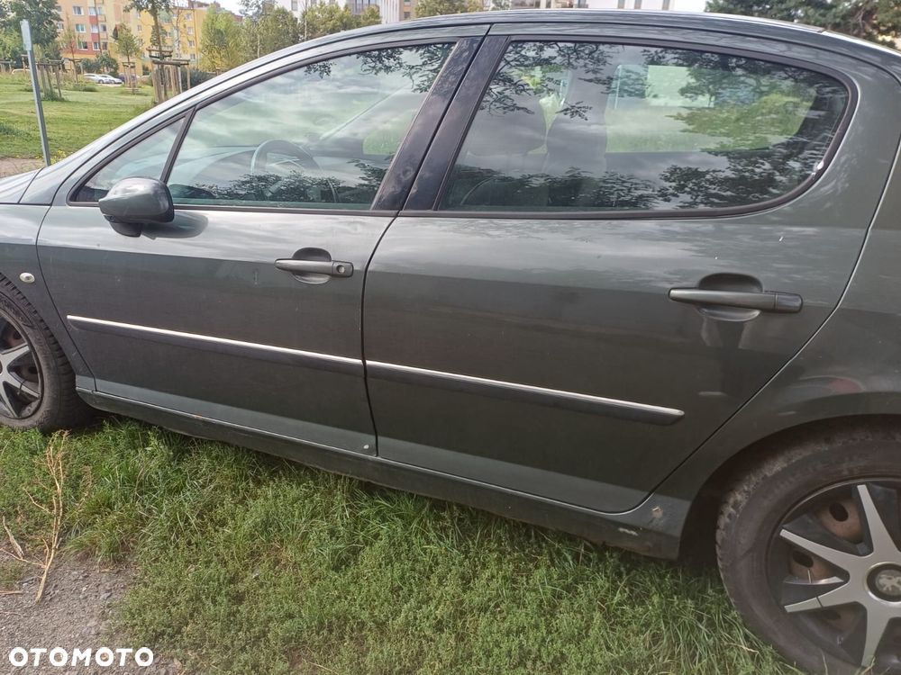 Peugeot 407 - 4