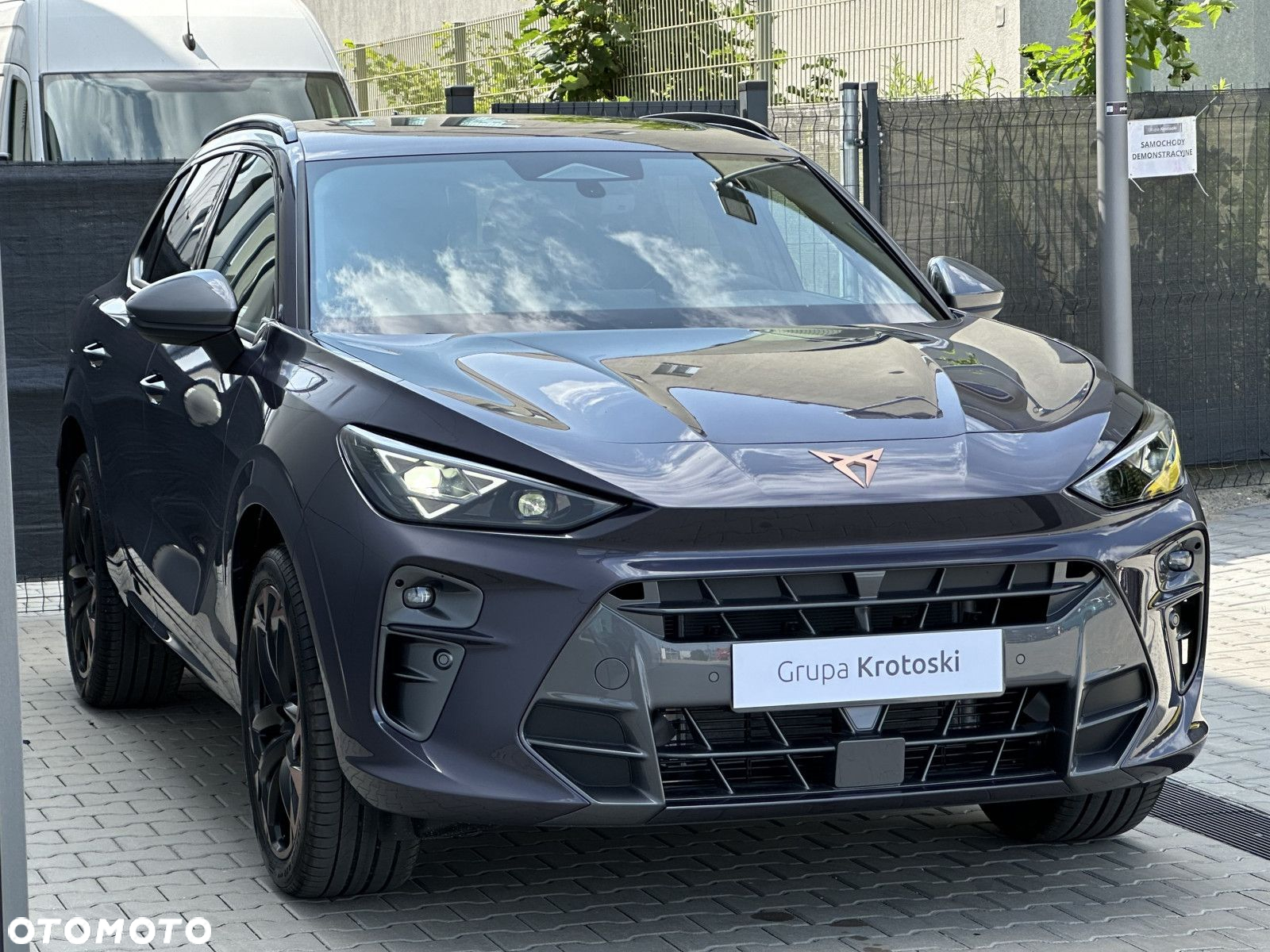Cupra Terramar - 3