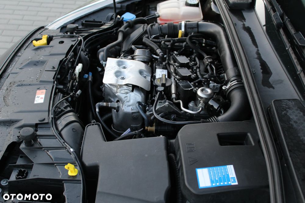 Ford Focus 1.0 EcoBoost Black Edition ASS - 19