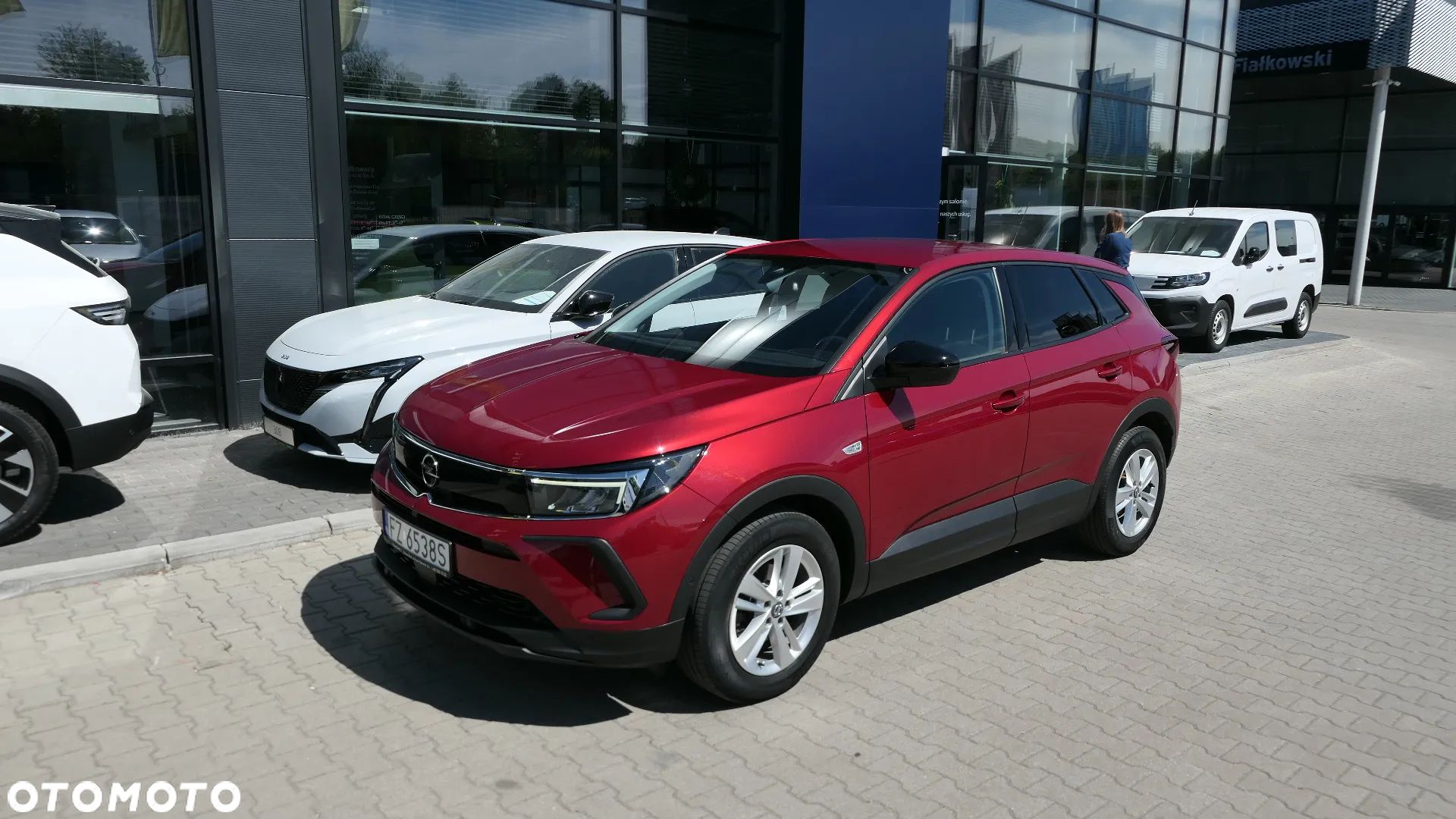 Opel Grandland X - 1