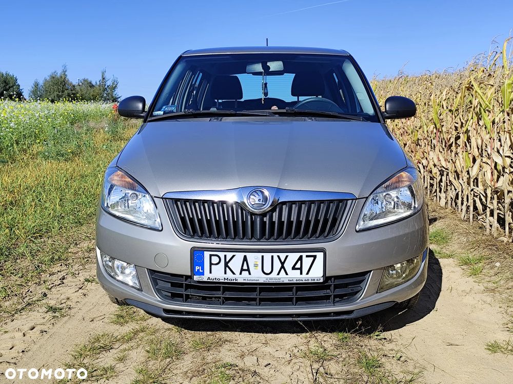 Skoda Fabia 2011 photo 5