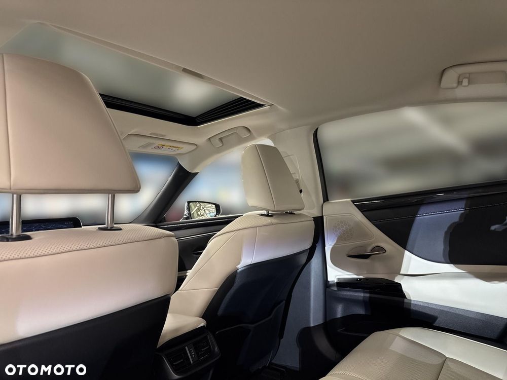 Lexus ES 300h Business Edition - 14