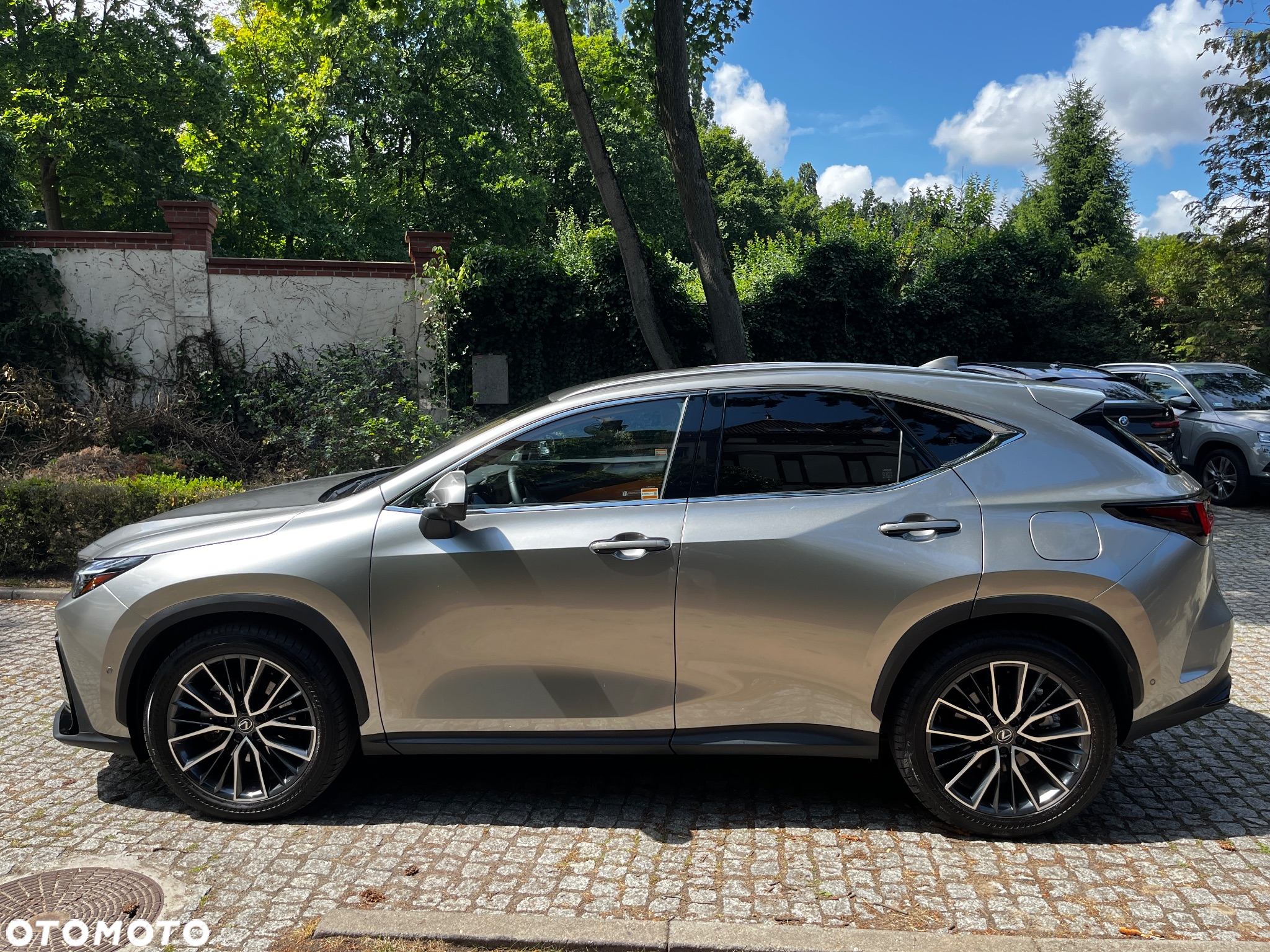 Lexus NX 350h Omotenashi AWD - 4