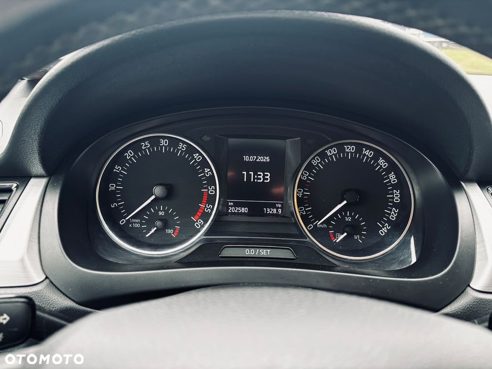 Skoda RAPID - 13