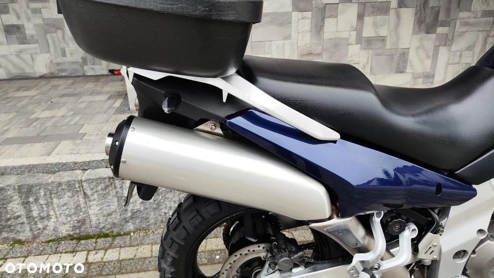 Suzuki DL - 10