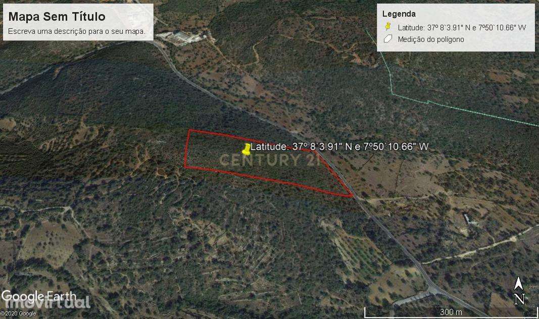 Terreno Rústico em São Brás de Alportel - Grande imagem: 5/6