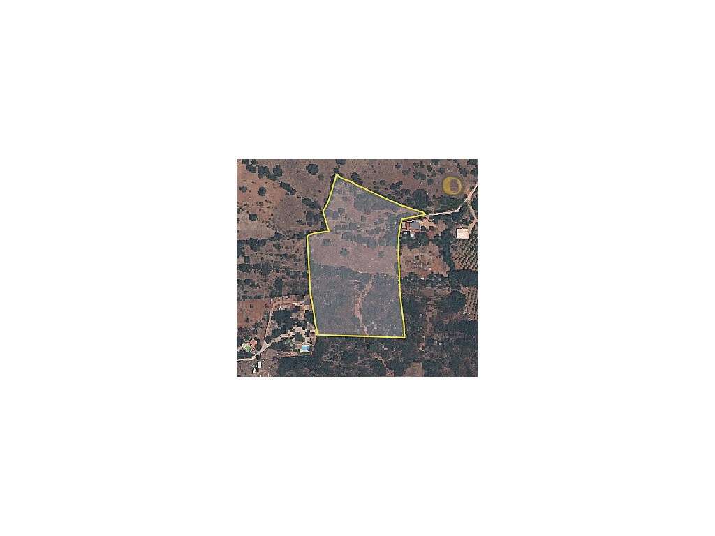Terreno junto a Santa Bárbara de Nexe, com Vista Mar, - Grande imagem: 2/13