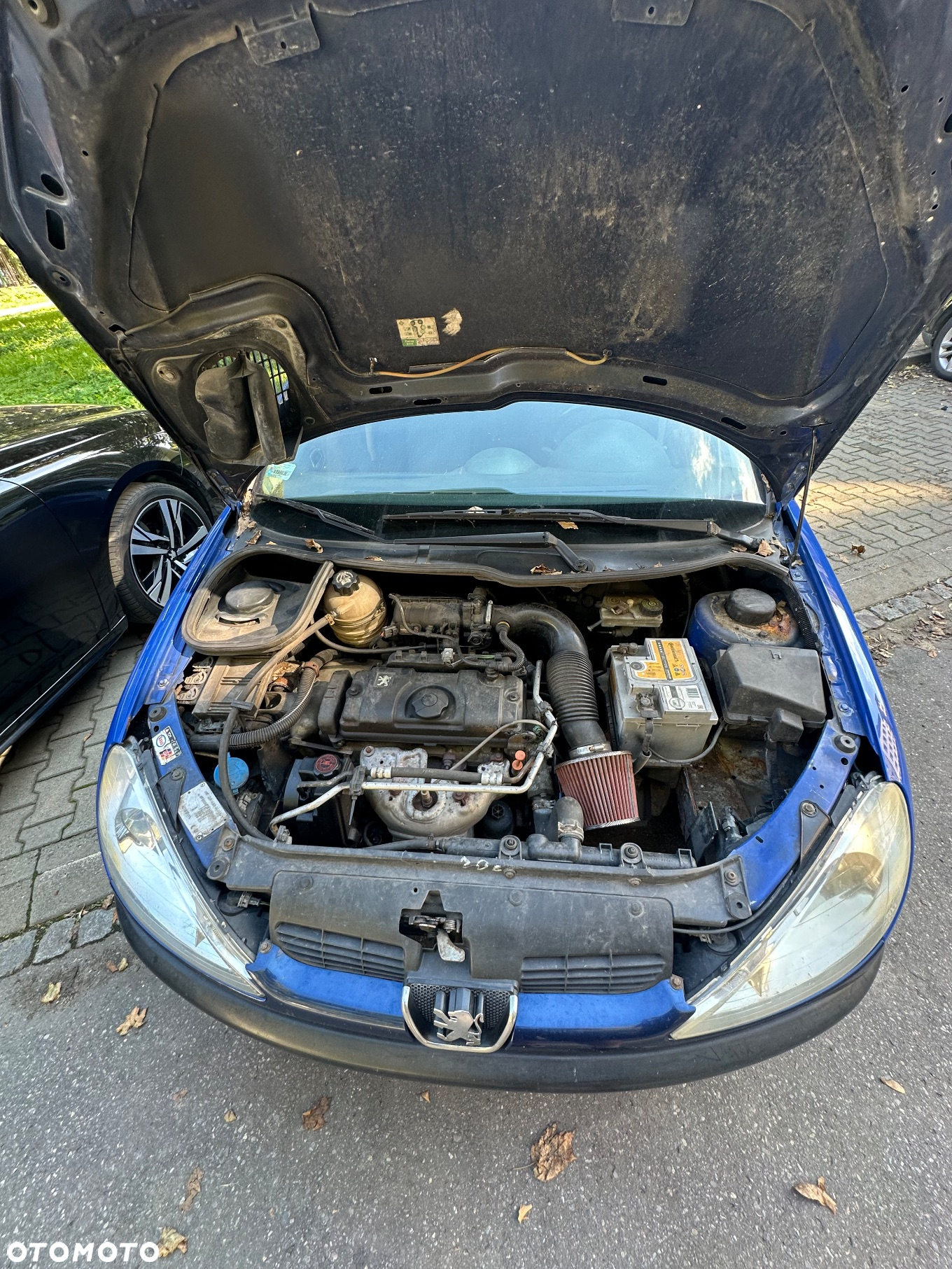 Peugeot 206 - 9