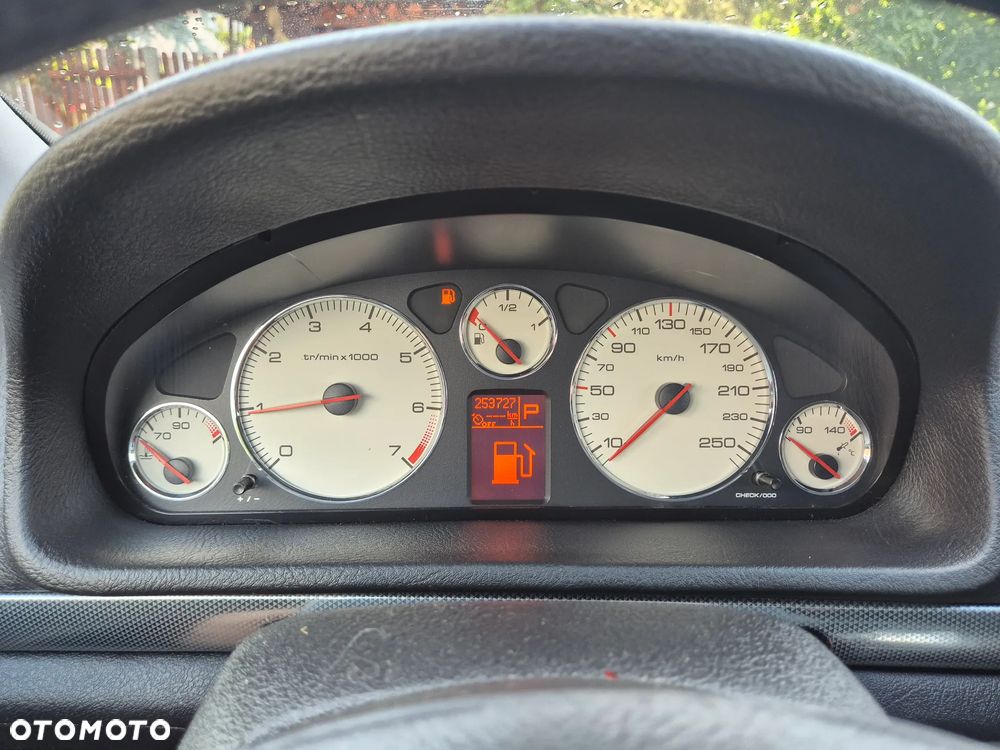 Peugeot 407 - 16