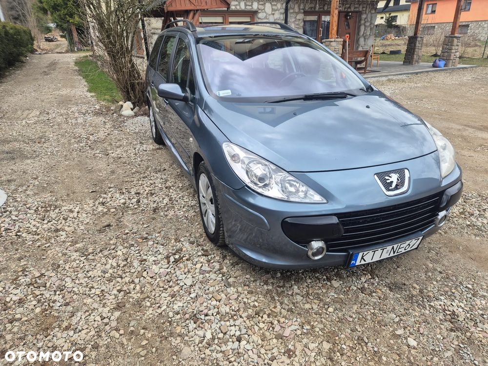Peugeot 307 2.0 Sporty - 2