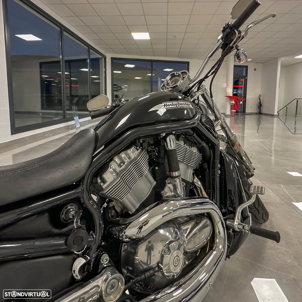 Harley-Davidson VRSCB - 14