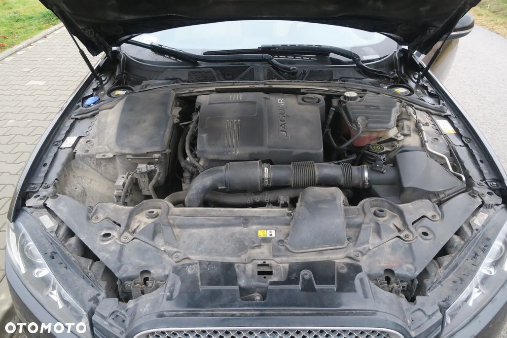 Jaguar XF 2.2 D Premium Luxury - 14