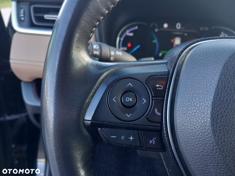 Toyota RAV4 2.5 Hybrid Executive 4x2 - 15