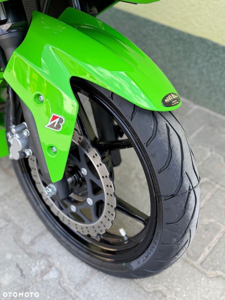 Kawasaki Ninja 250R - 3