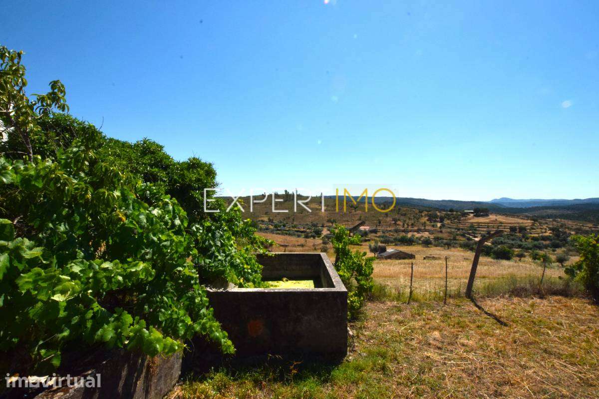 Terreno com 344 m2 - Pardo - Nisa - Grande imagem: 2/14