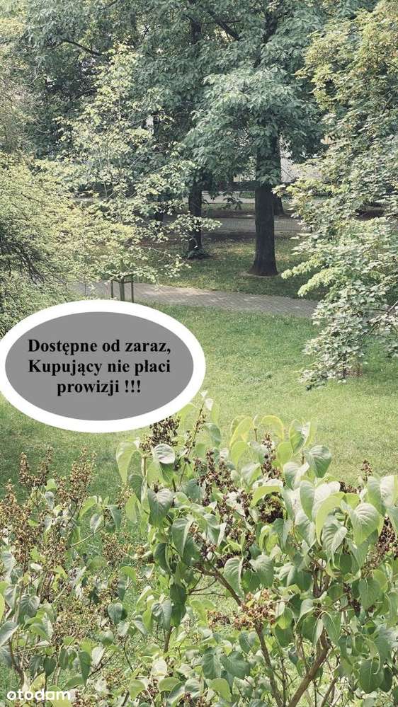 ustawna kawalerka, dostępna od zaraz